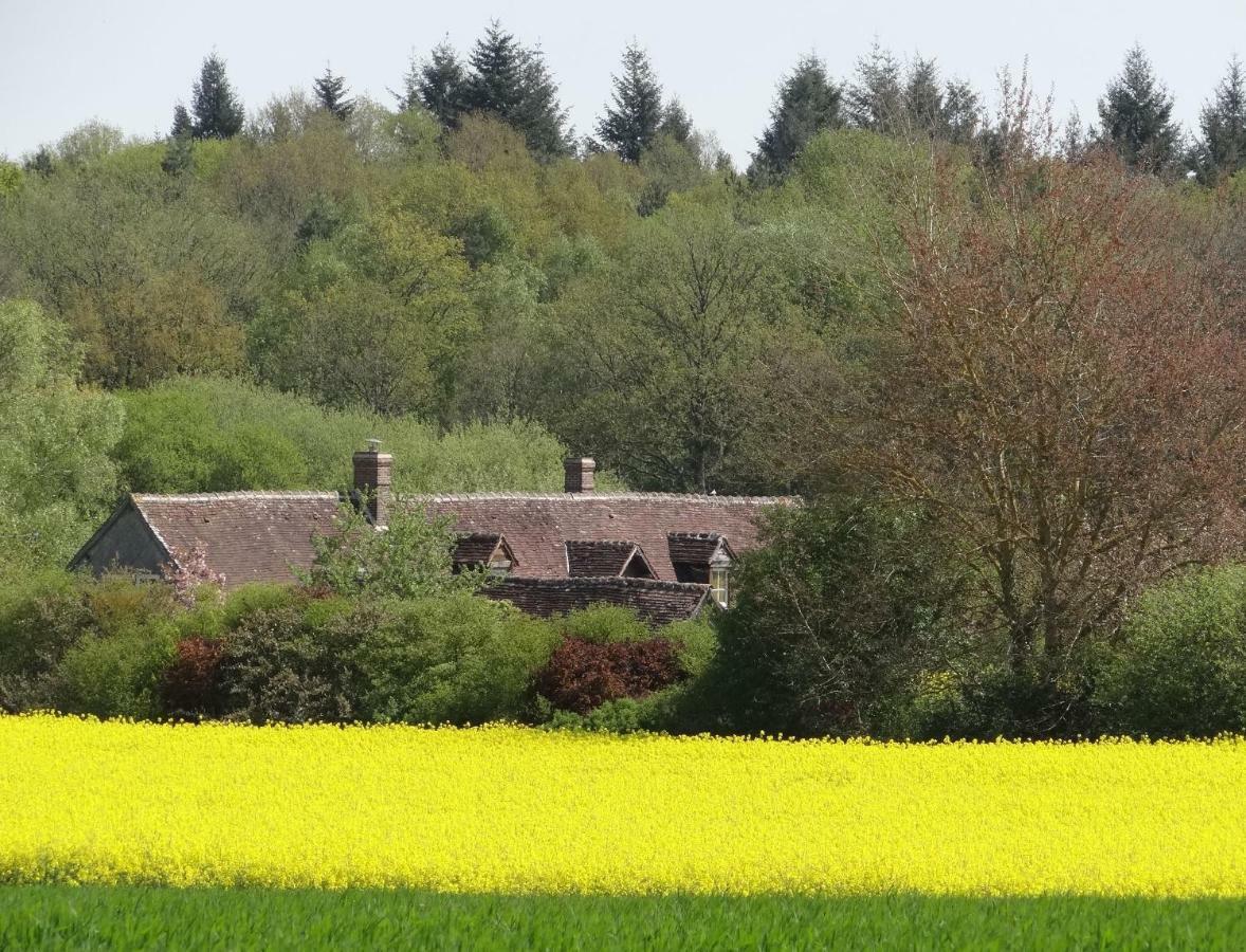 Frazé La Sauleraie Bed & Breakfast エクステリア 写真